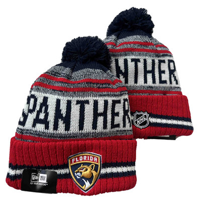 Florida Panthers Knit Hats 002